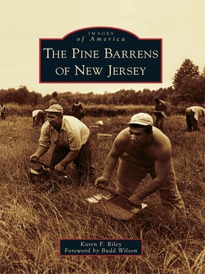 The Pine Barrens of New Jersey - ebook